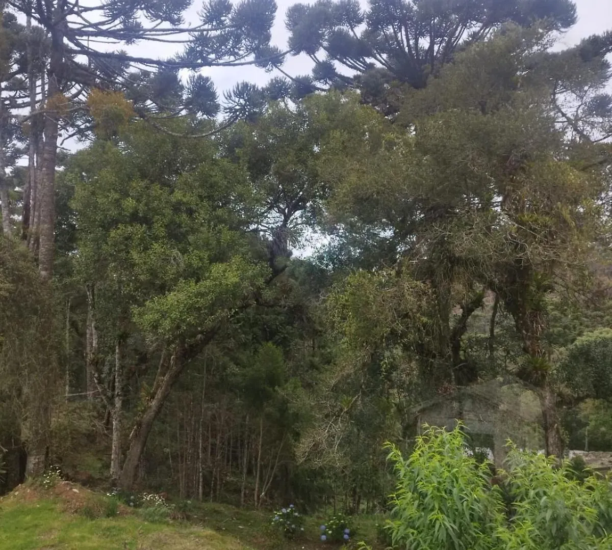A Casa Da Vovo Chi Villa Campos do Jordao