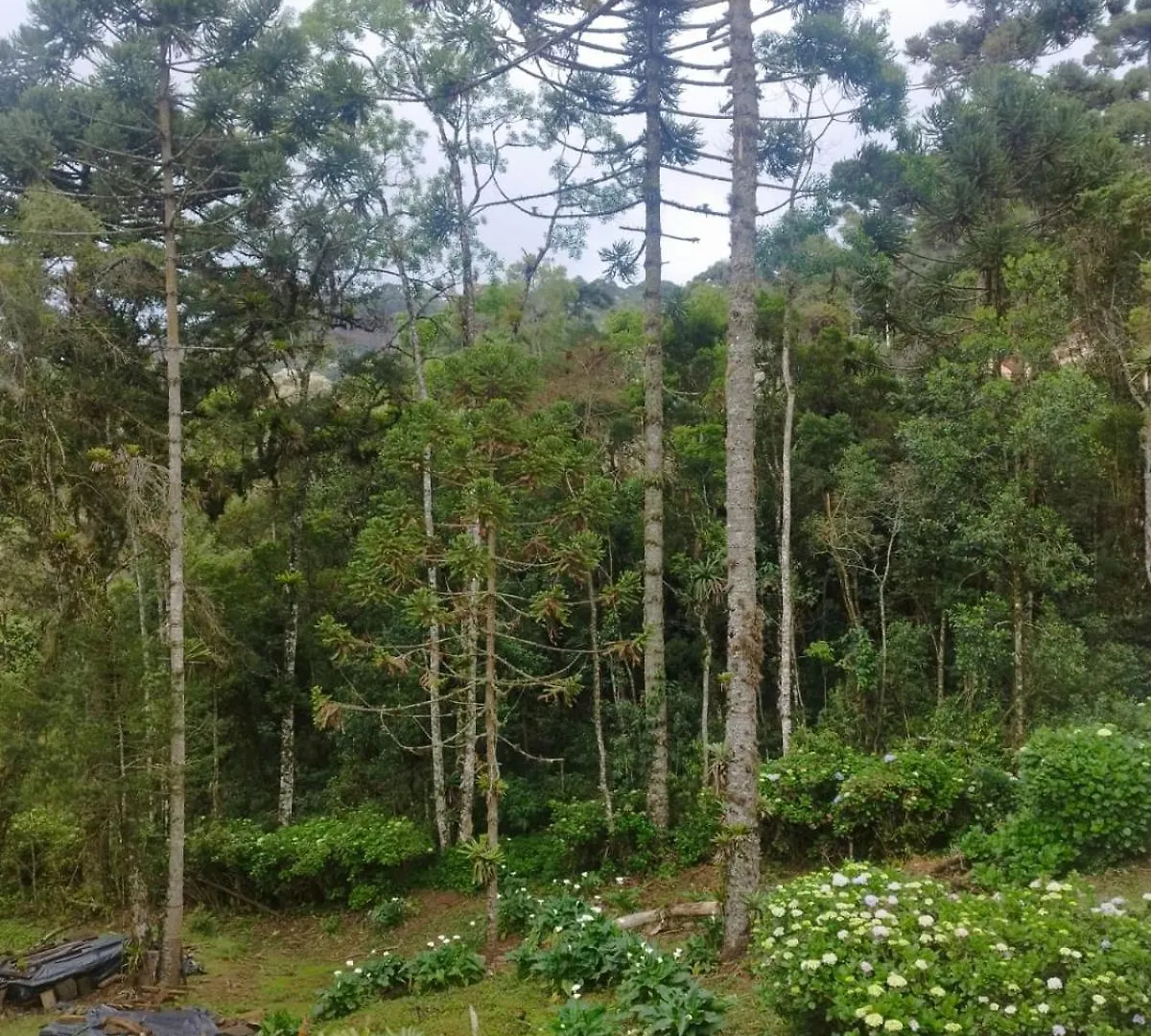 Vila A Casa Da Vovo Chi Campos do Jordão Prázdninový dům